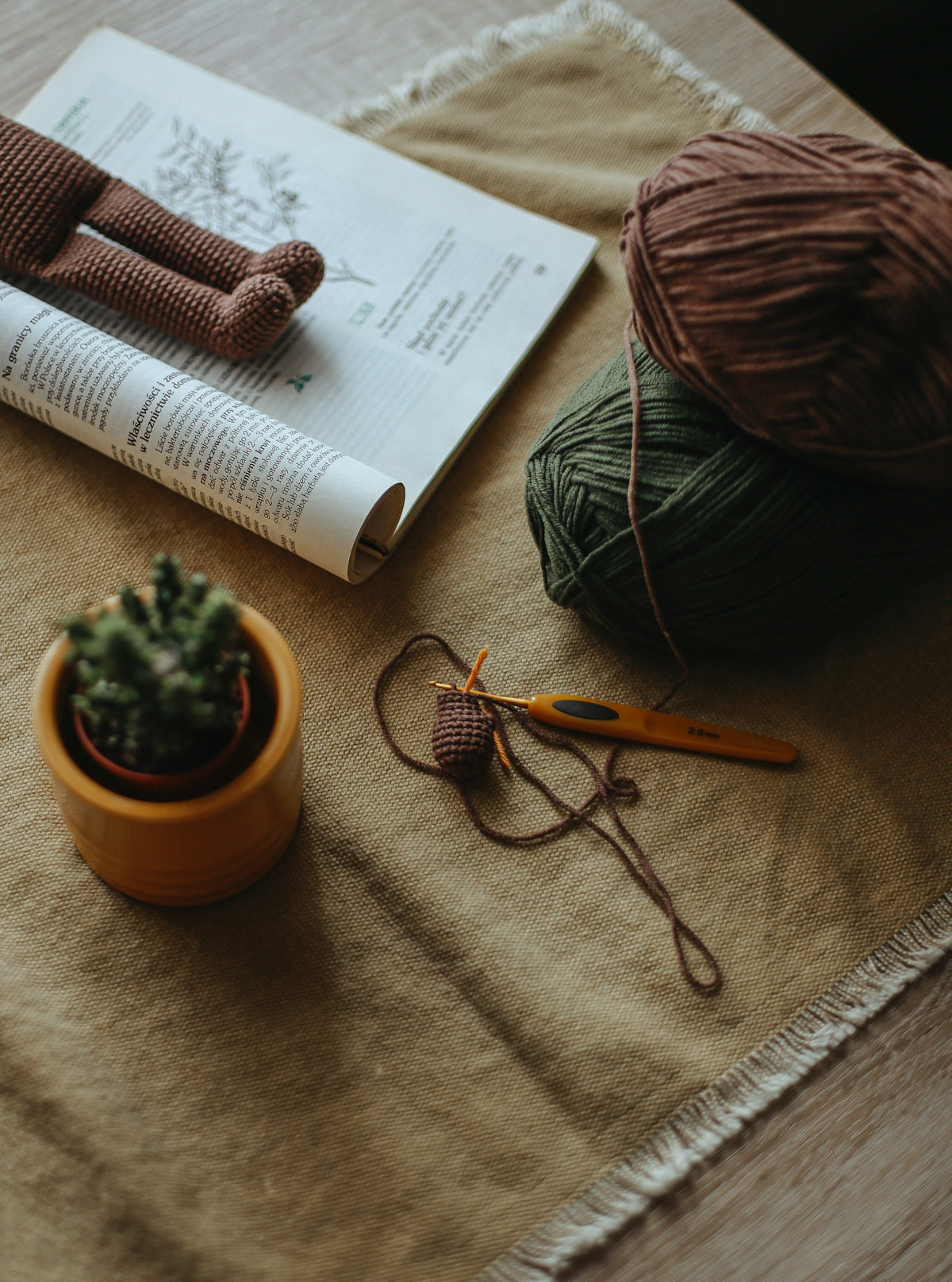 a table topped with yarn and a potted plant